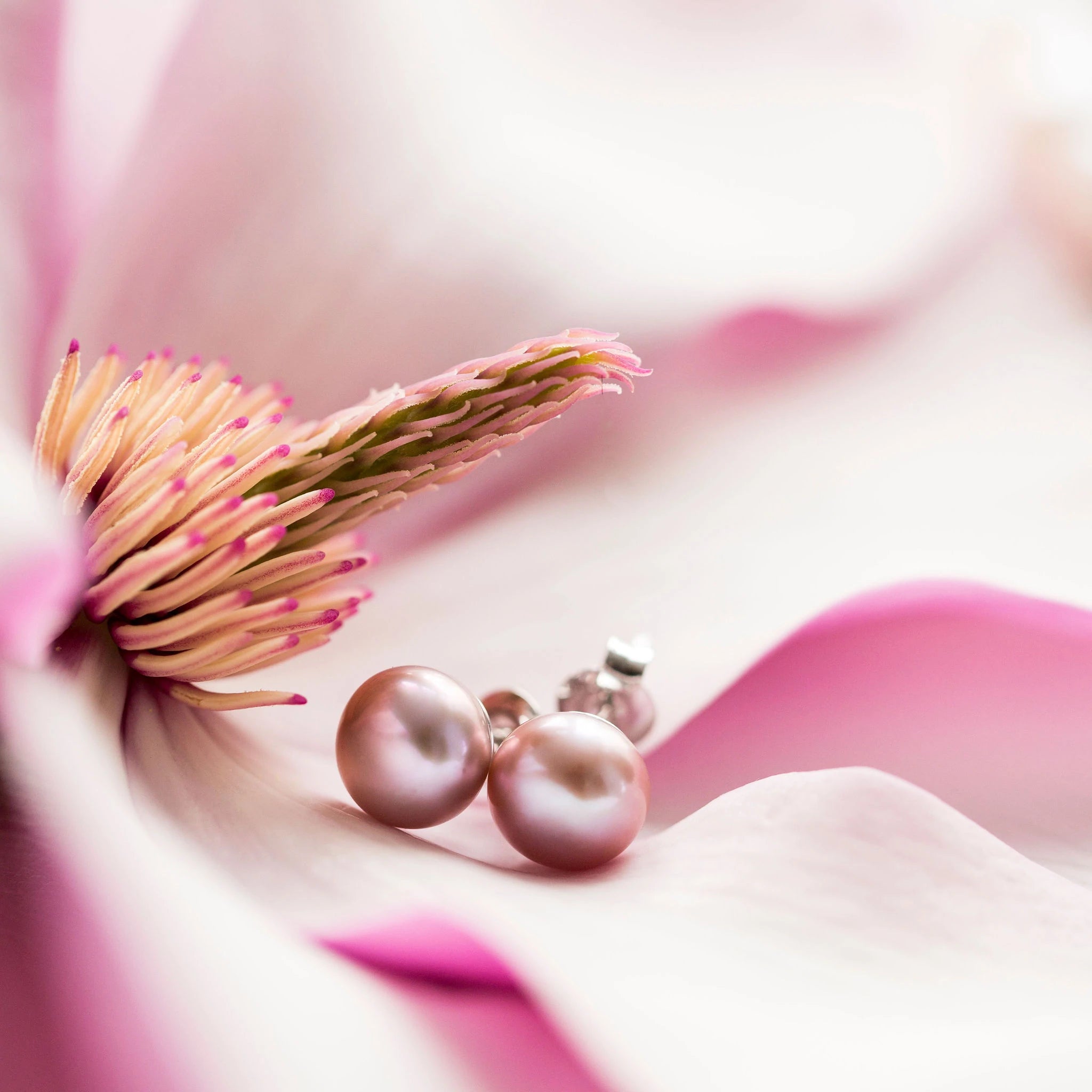 Boucles d'oreilles de perles d'eau douce roses