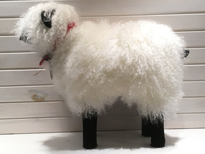 Mouton blanc